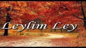 Leylim Ley Notaları