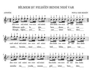 bilmem su felegin notalari saz