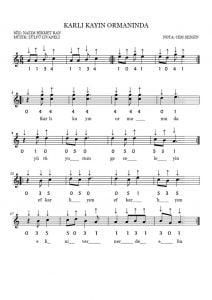 karli kayin nota
