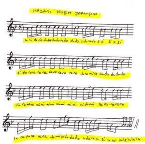 Hayatı Tesbih Yapmışım Sallıyormuşum Notaları