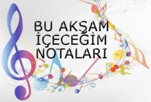 Bu Akşam İçeceğim Notaları