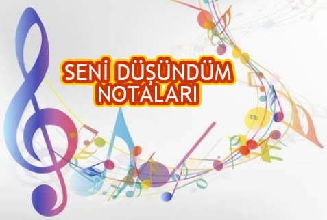 Seni Düşündüm Notaları