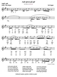 acilir gonca gul yar notasi