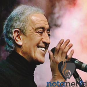 Hasretinle Yandı Gönlüm Melodika Notaları