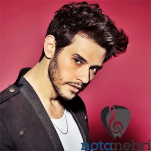 Dumanlı Sevda Melodika Notaları