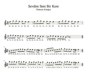 sevdim-seni-bir-kere-melodika-notaları