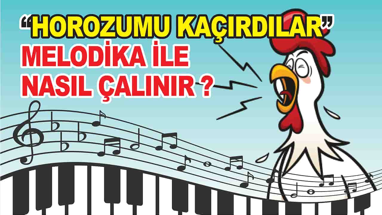 horozumu kaçırdılar notası