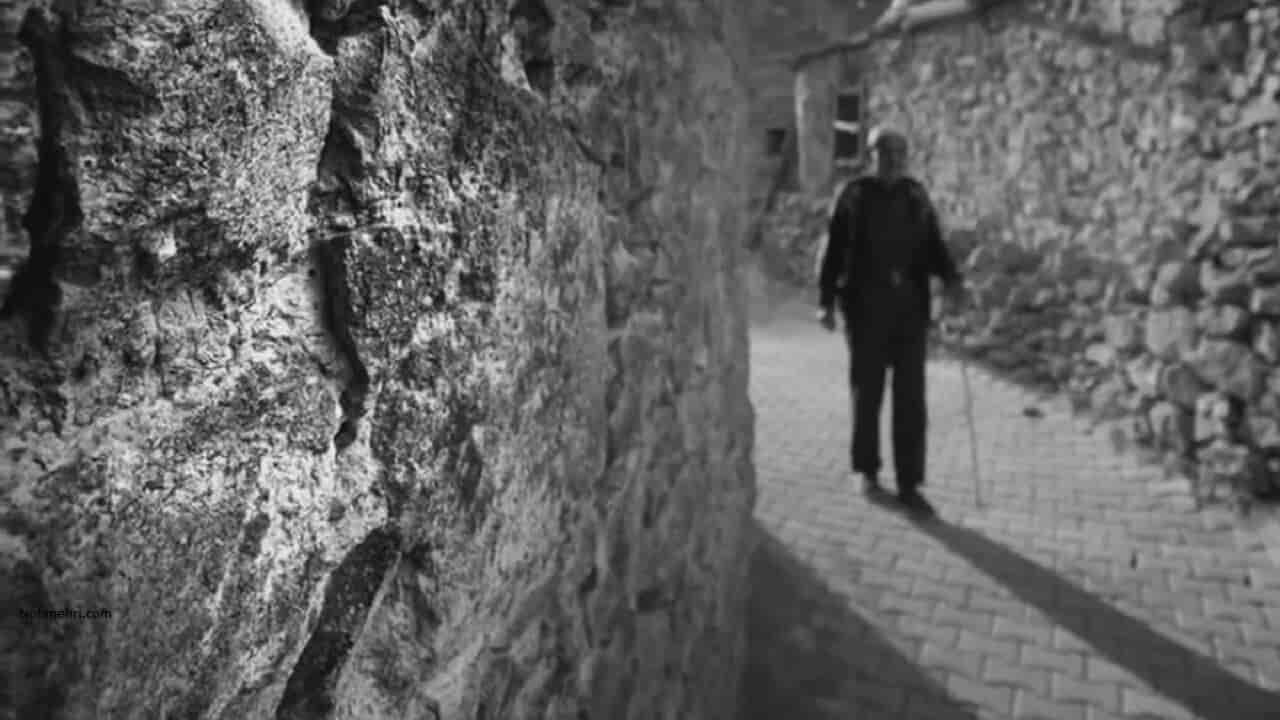 mapusun icinde 3 agac indir nota