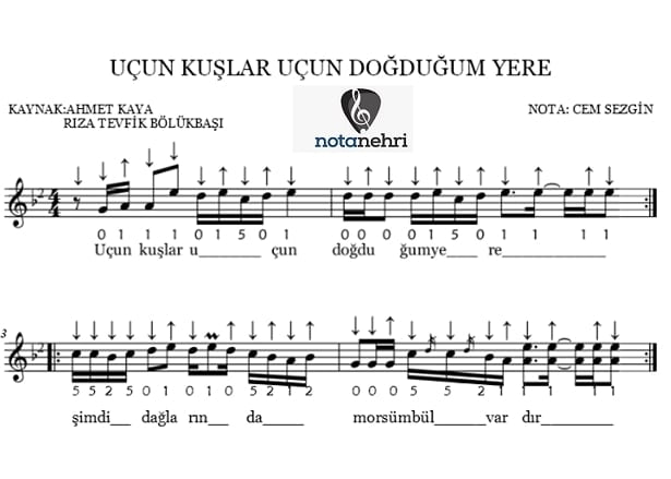 ucun kuslar ucun saz nota