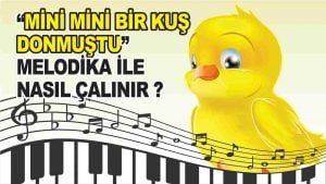 Mini Mini Bir Kuş Donmuştu Melodika Notaları