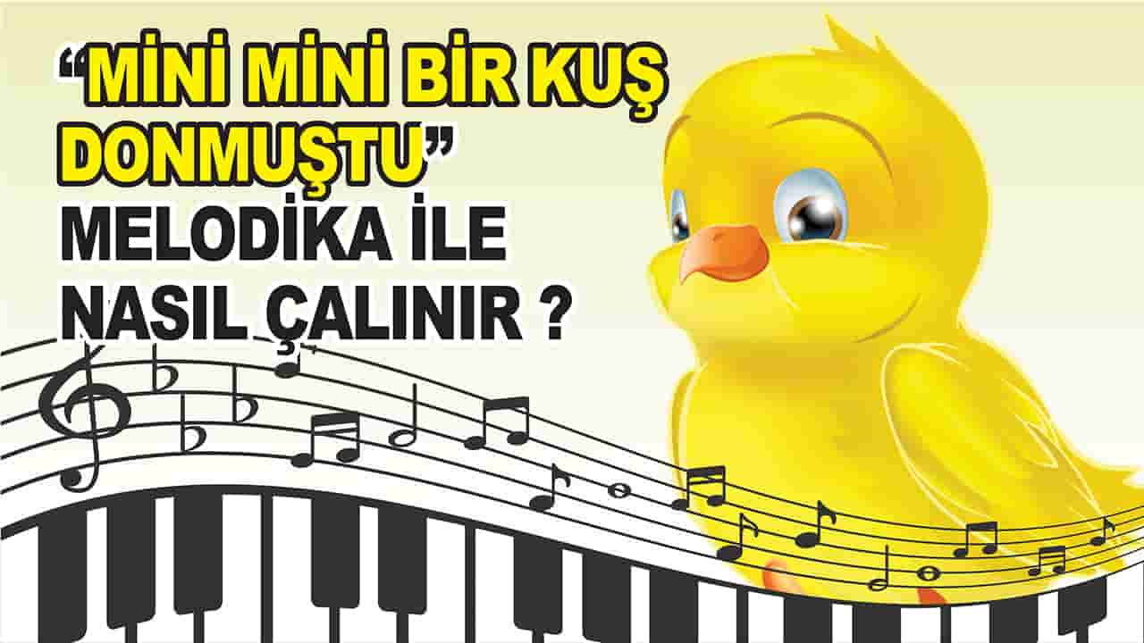 mini mini bir kus sarkisi