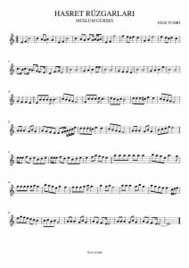 hasret ruzgarlari damar sarki klarnet