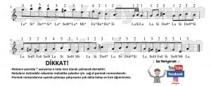 max ve maestro muzigi notalari