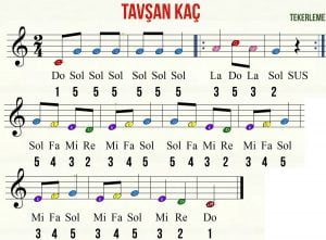 tavsan kac tekelerme melodika notasi