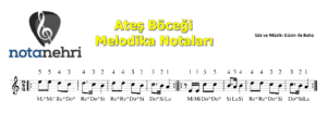 Ateş Böceği Melodika Notaları