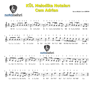 Cem Adrian – KÜL Melodika Notaları