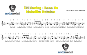 İki Kardeş – Bana Ne Melodika Notaları