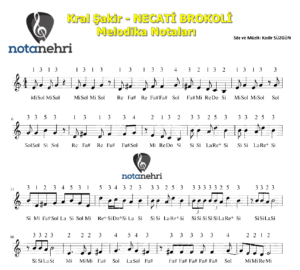 Kral Şakir – NECATİ BROKOLİ Melodika Notaları