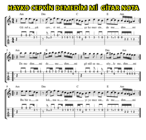 Hayko Cepkin – Demedim mi – Gitar Nota Tab Akor