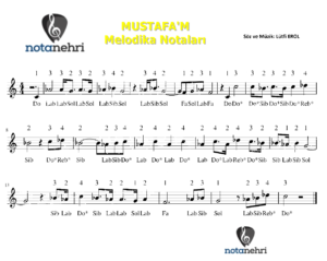 MUSTAFA’M Melodika Notaları