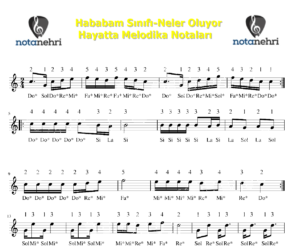 Hababam Sınıfı-Neler Oluyor Hayatta Melodika Notaları