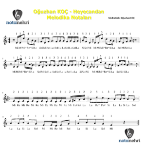 Oğuzhan KOÇ – Heyecandan Melodika Notaları