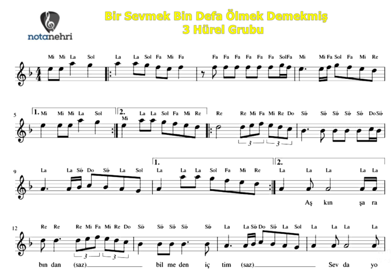 Bir Sevmek Bin Defa Ölmek Demekmiş – 3 Hürel Keman Bağlama Melodika Flüt Org Notaları