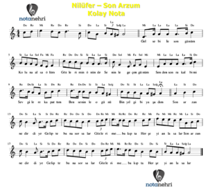 Nilüfer – Son Arzum Keman, Melodika, Flüt Notaları