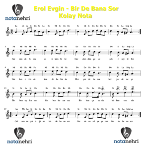 Erol Evgin – Bir De Bana Sor Piyano, Melodika, Keman, Flüt, Org Notaları