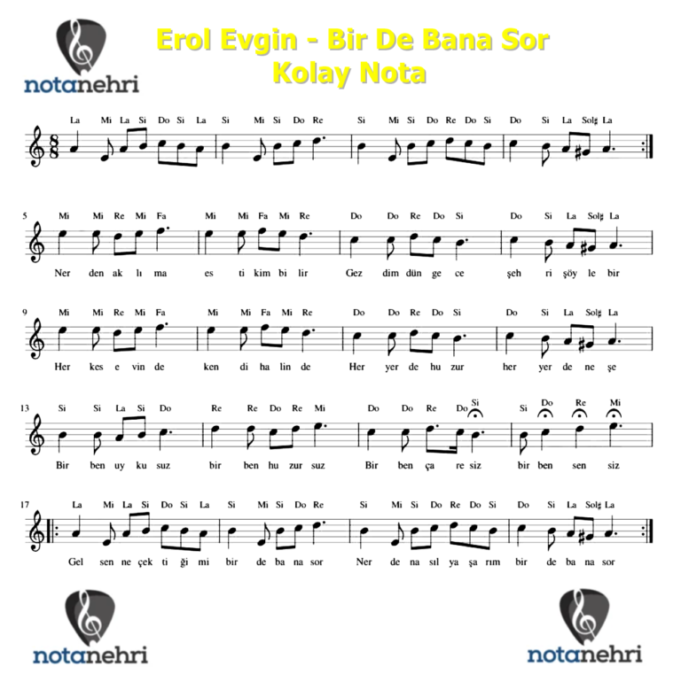 Erol Evgin – Bir De Bana Sor Piyano, Melodika, Keman, Flüt, Org Notaları
