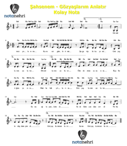 Şahsenem – Gözyaşlarım Anlatır Keman, Melodika, Org, Flüt, Piyano Notaları