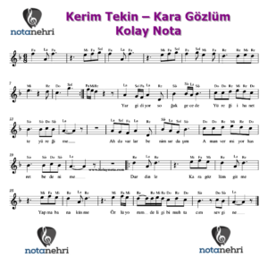 Kerim Tekin – Kara Gözlüm Keman, Melodika, Flüt, Org Notaları