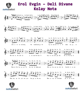 Erol Evgin – Deli Divane Keman, Piyano, Melodika, Flüt, Org Notaları